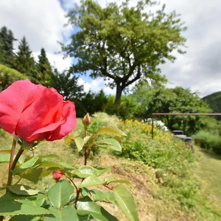 In Deifeld With Balcony