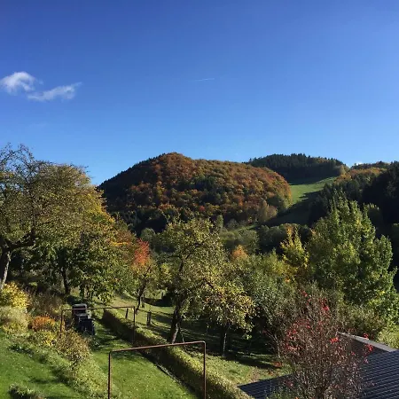 In Deifeld With Balcony