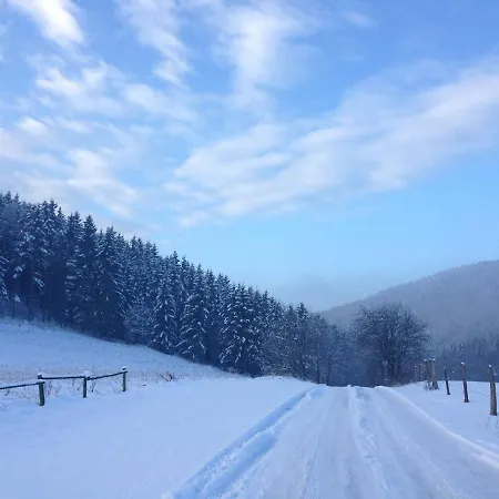 Ferienhaus, *
