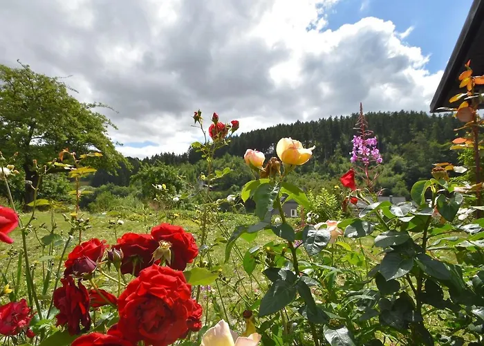 Ferienhaus Ferienhaus, Medebach